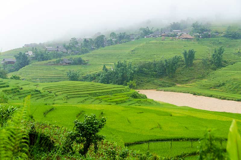 235 - Vietnam - Sapa - paisaje bajo la lluvia
